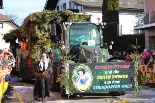 2020-02-22 Faschingsumzug-Aurach  1994